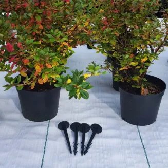 Agrotkanina biała EXTRA GRUBA PP UV 100g/m2 160cm 100mb - 6