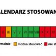 Nawóz mineralny do powojników 1 kg - 2