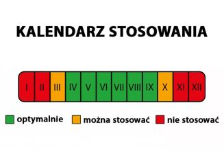 Nawóz Planta Vit do surfinii i petunii 1l - 3