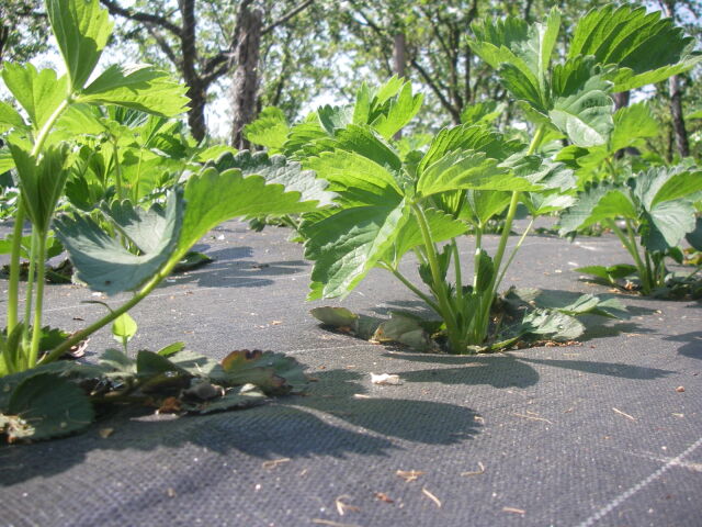 WIOSENNA PROMOCJA DZIAŁU AGRO !!!!!!!!!!!!!!!!