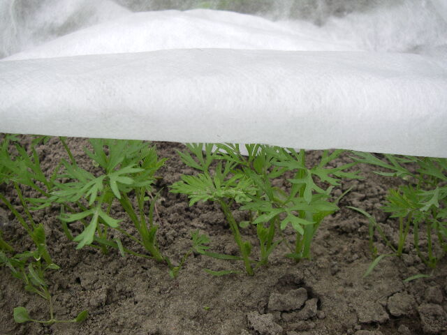 NAJTANIEJ !!! AGROWŁÓKNINA WIOSENNA OKRYCIOWA !!!