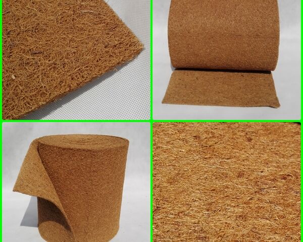 Tarcze i Formatki kokosowe