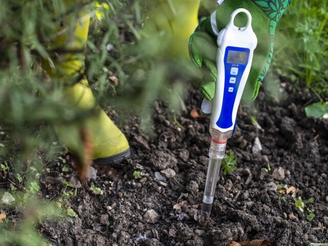 Pomiar pH gleby. Jak zmierzyć odczyn pH w ogrodzie?